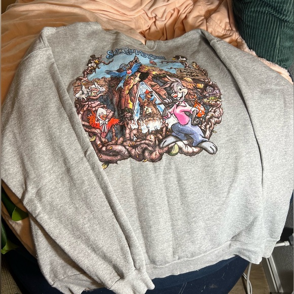 Authentic Vintage Disneyland Splash Mountain unisex size M - Picture 2 of 6